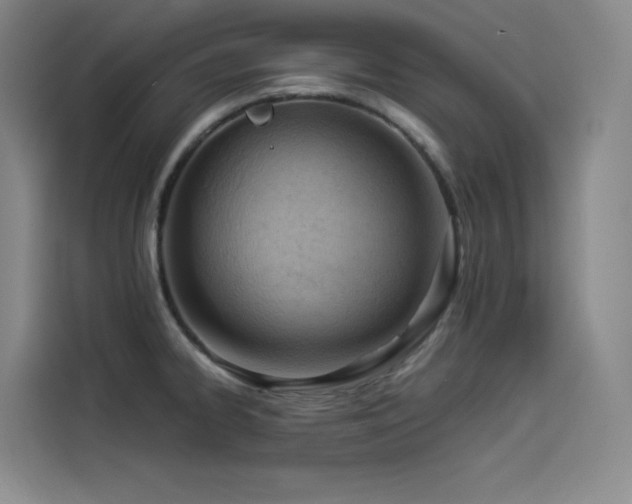 X0000114531334200910191314