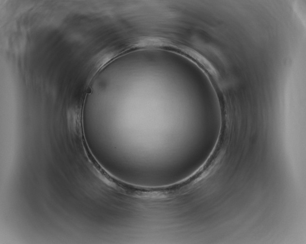 X0000114531337200910191314