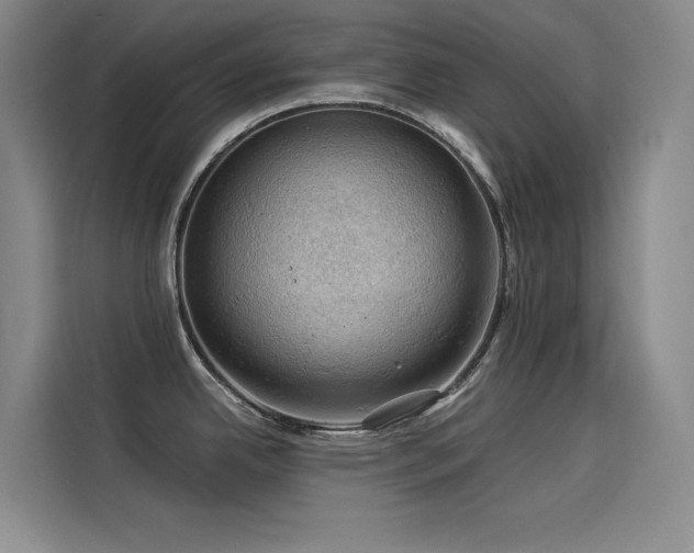 X0000114531342200910191314