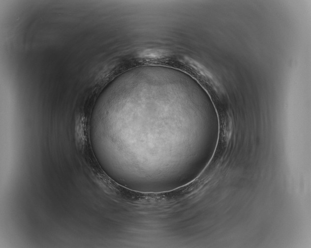 X0000114531346200910191314