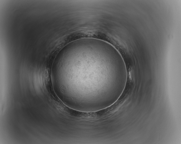 X0000114531347200910191313