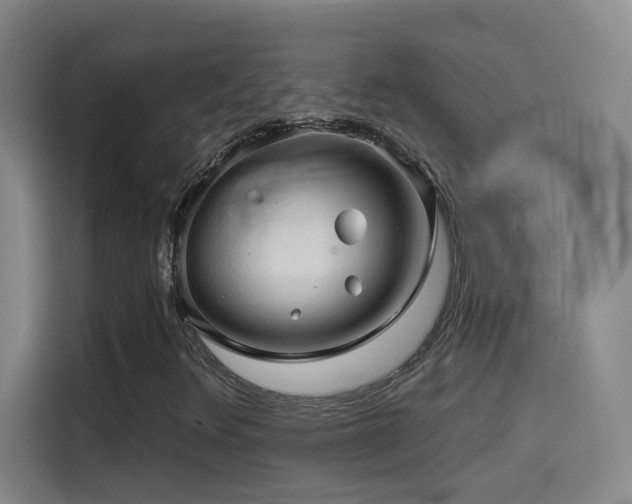 X0000114531348200910191313