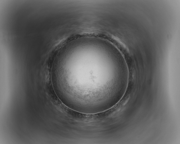 X0000114531350200910191313