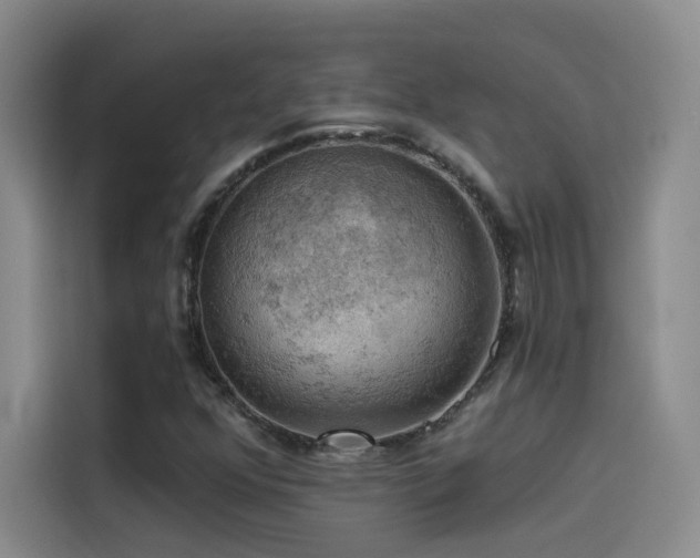 X0000114531352200910191313