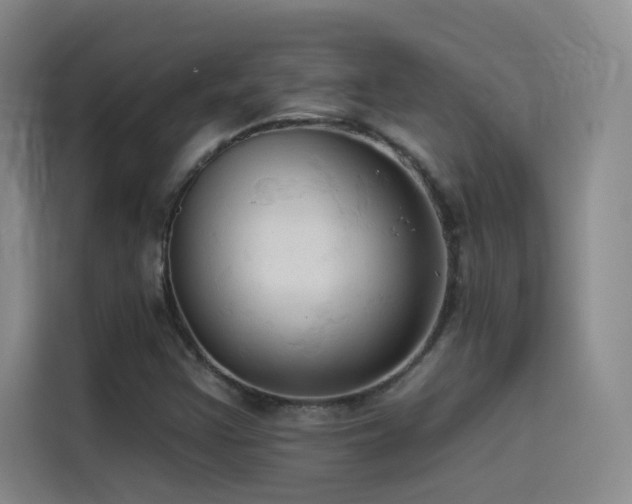 X0000114531355200910191313