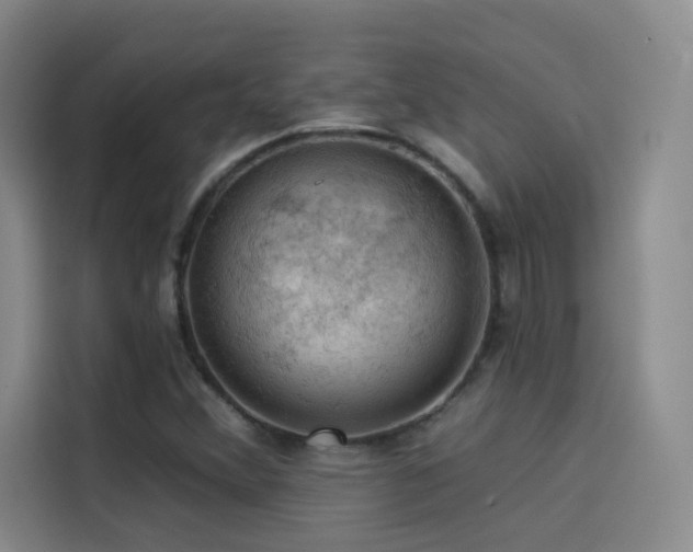 X0000114531356200910191313