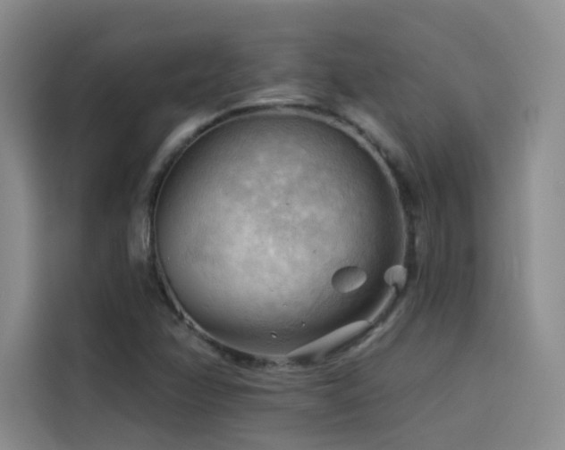 X0000114531358200910191313