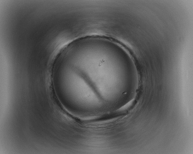 X0000114531359200910191313