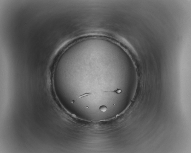 X0000114531360200910191313