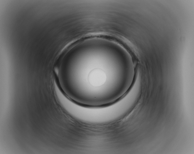 X0000114531361200910191313