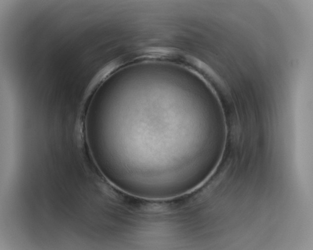 X0000114531362200910191313
