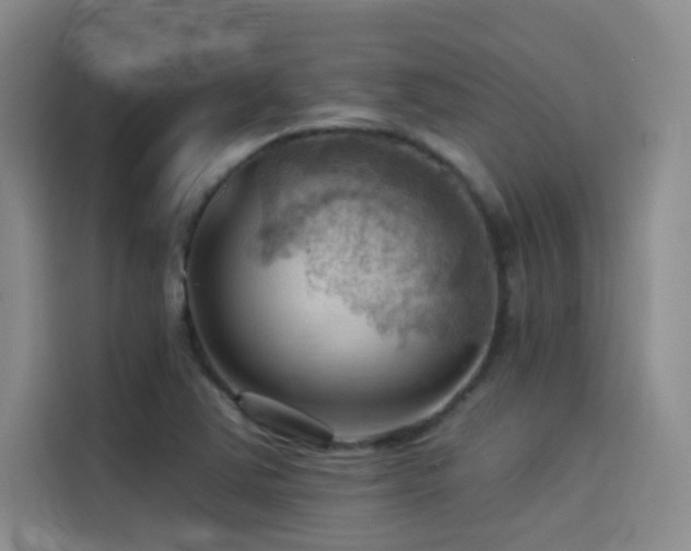 X0000114531363200910191313