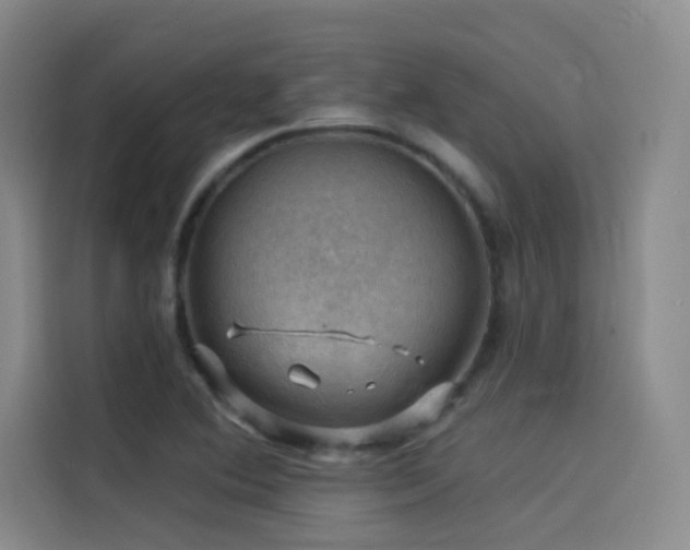 X0000114531364200910191313