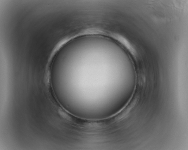 X0000114531366200910191313