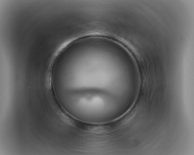 X0000114531367200910191313