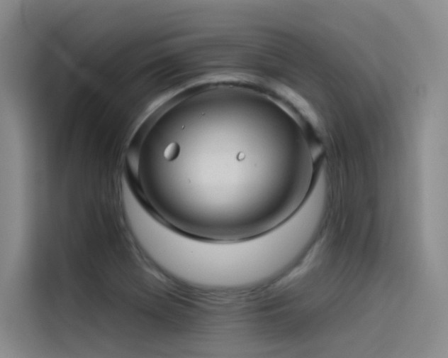 X0000114531369200910191313