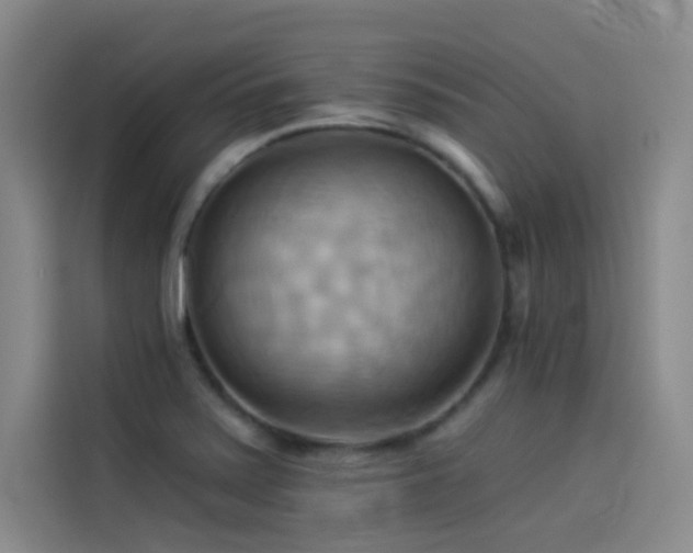 X0000114531371200910191313