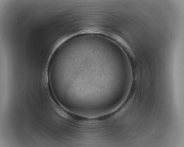 X0000114531372200910191313