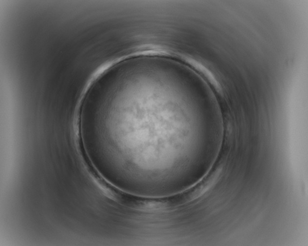 X0000114531375200910191313