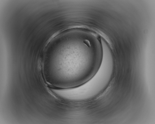 X0000114531377200910191313