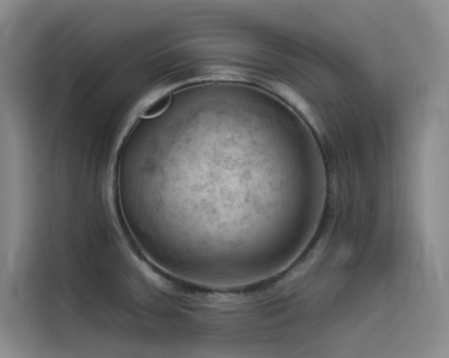X0000114531379200910191313