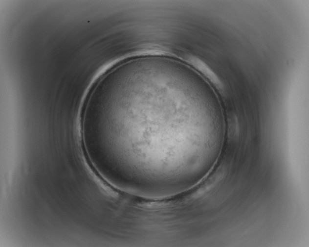 X0000114531380200910191313