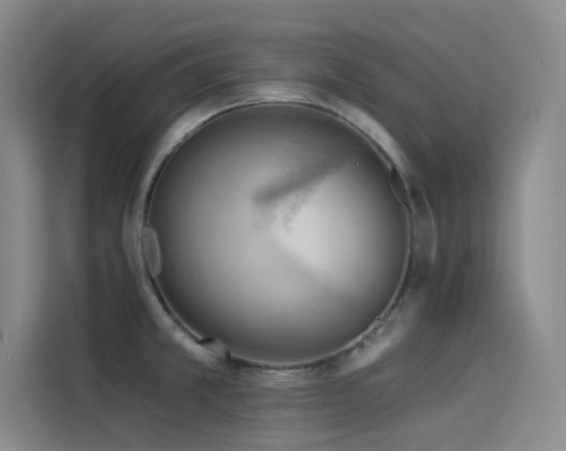 X0000114531381200910191313