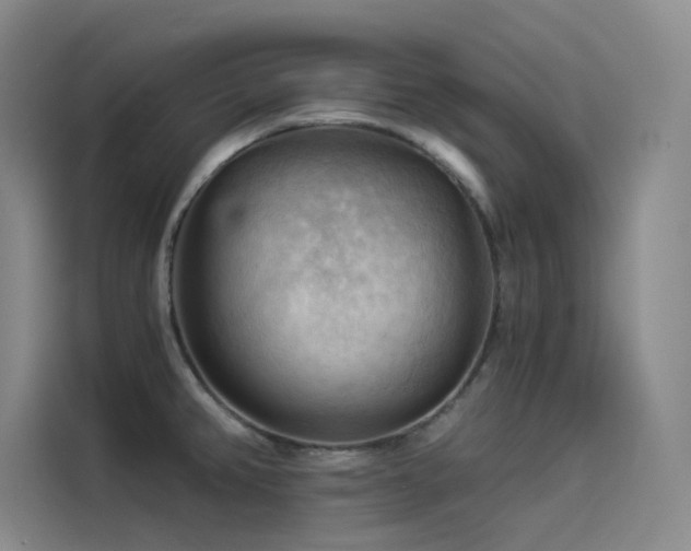 X0000114531382200910191313