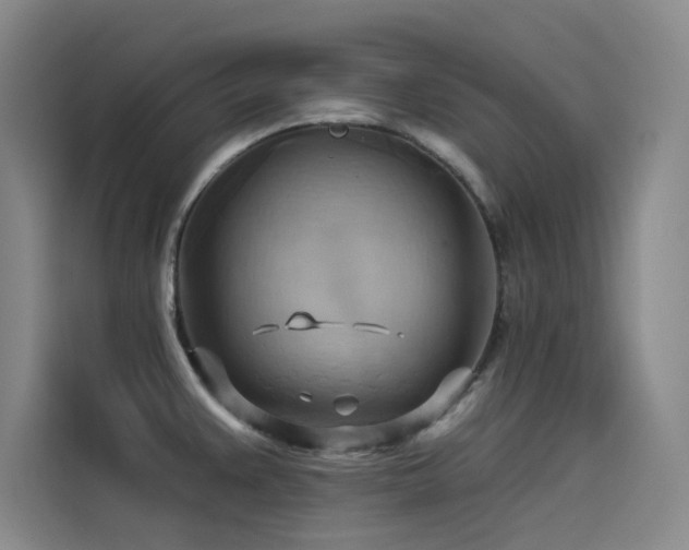 X0000114531383200910191313