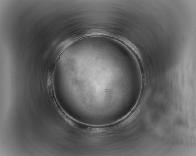 X0000114531385200910191313