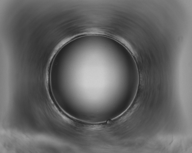 X0000114531387200910191313