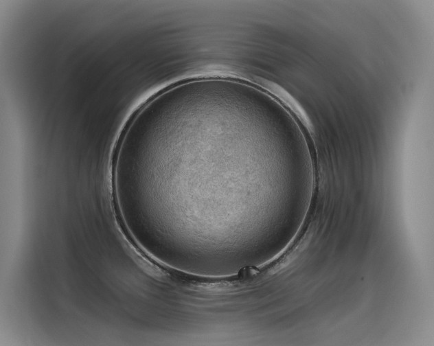 X0000114531388200910191313