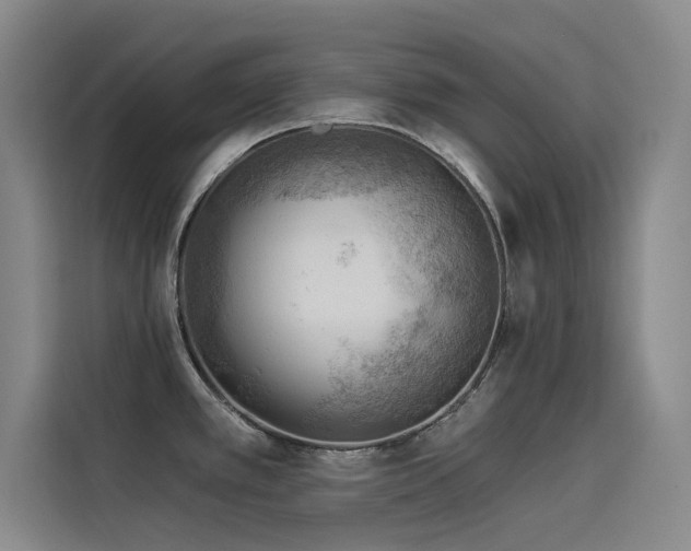 X0000114531389200910191313
