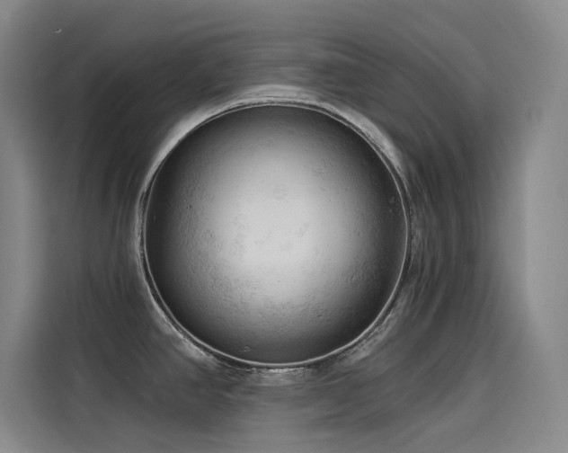 X0000114531390200910191313