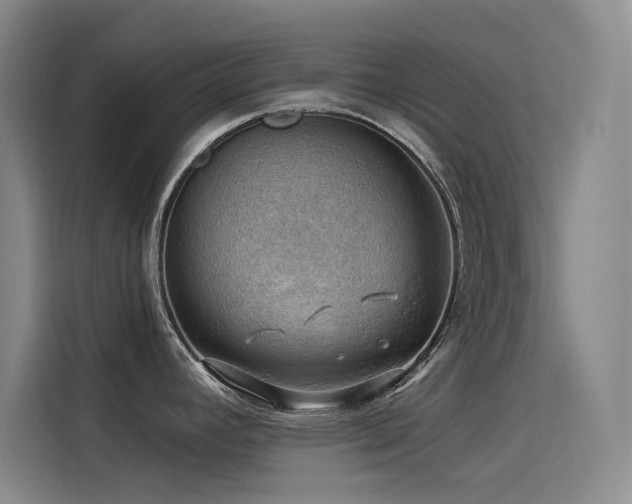 X0000114531392200910191313