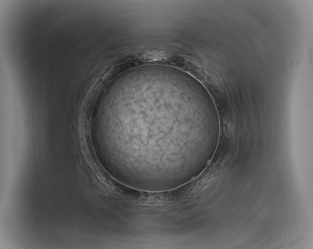 X0000114531393200910191312