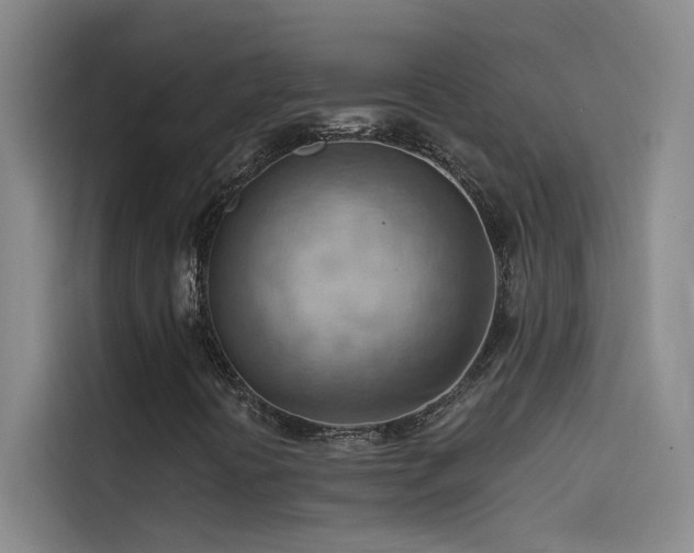 X0000114531394200910191312