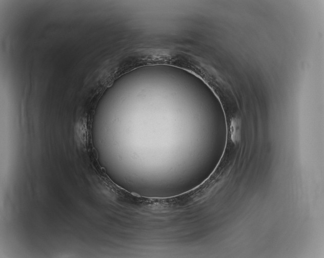 X0000114531395200910191312