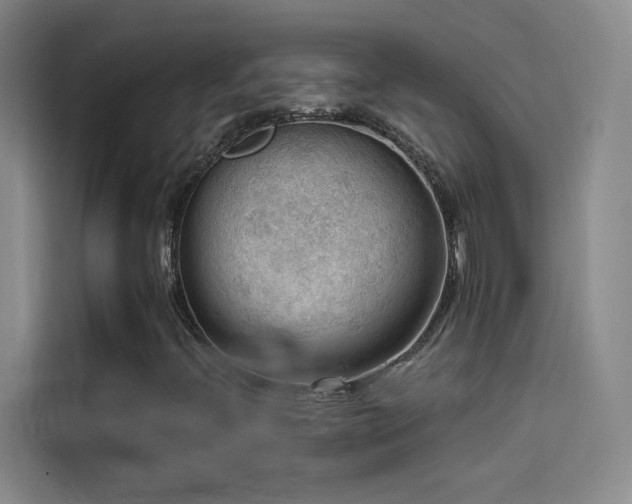 X0000114531396200910191312