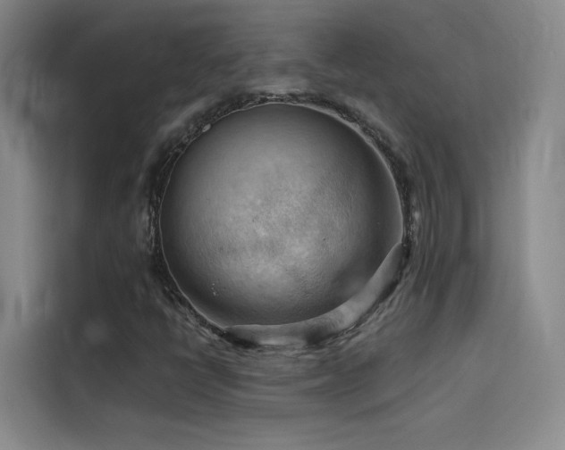 X0000114531398200910191312