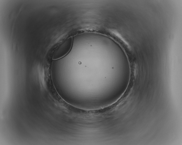 X0000114531399200910191312