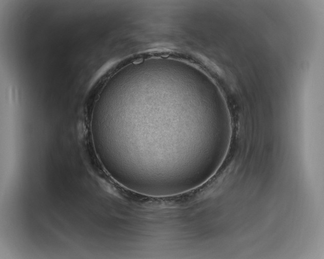 X0000114531400200910191312