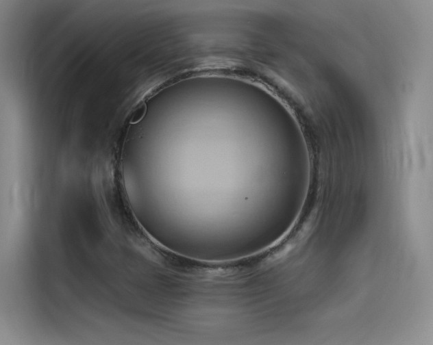 X0000114531401200910191312
