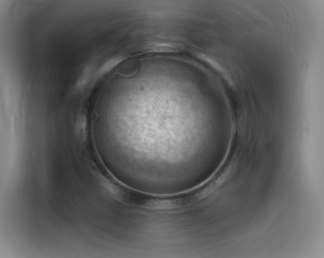 X0000114531402200910191312