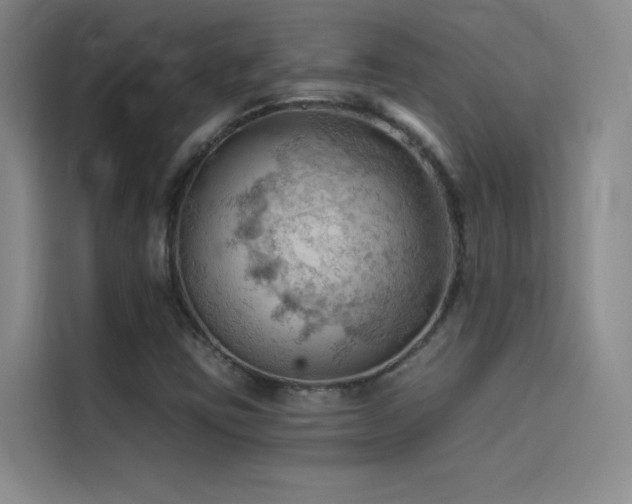 X0000114531403200910191312