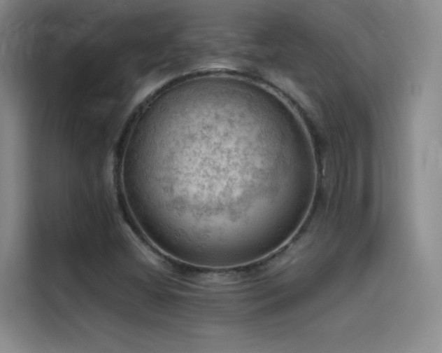 X0000114531404200910191312