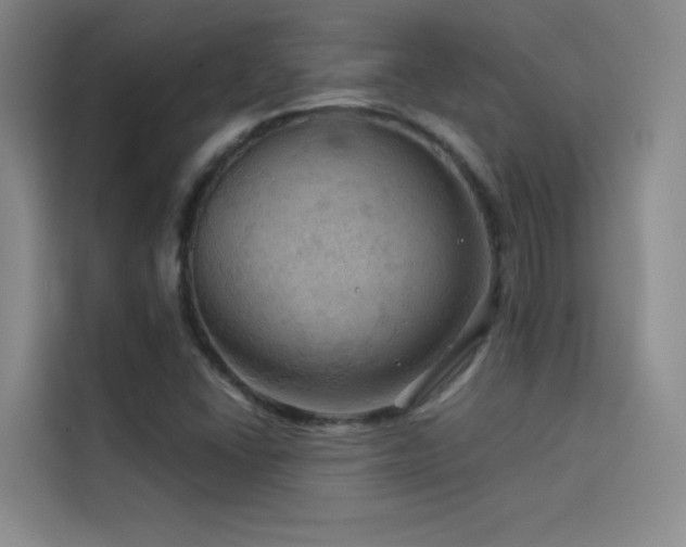 X0000114531406200910191312