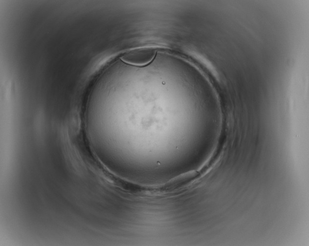 X0000114531407200910191312