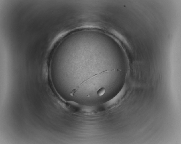 X0000114531408200910191312