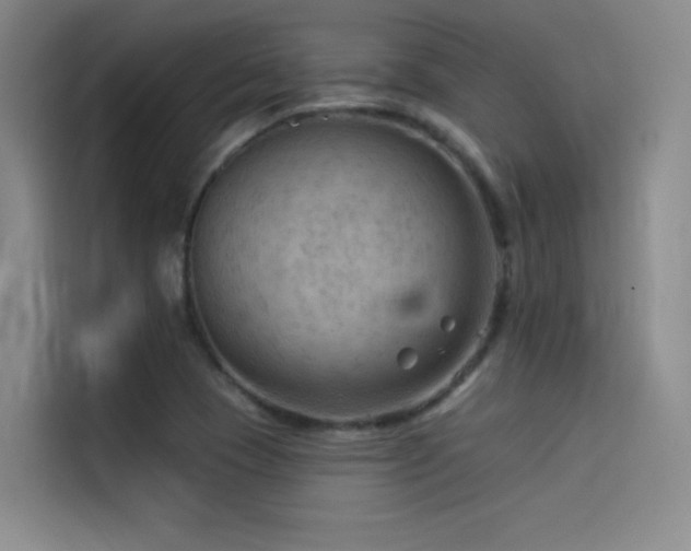 X0000114531409200910191312